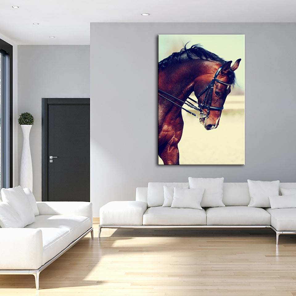 Graceful Haltered Horse - Canvas Wall Art Painting | Bowlift