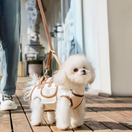 BowLift | Multi-Function Pet Harness and Carrier Backpack for Small Dogs and Cats