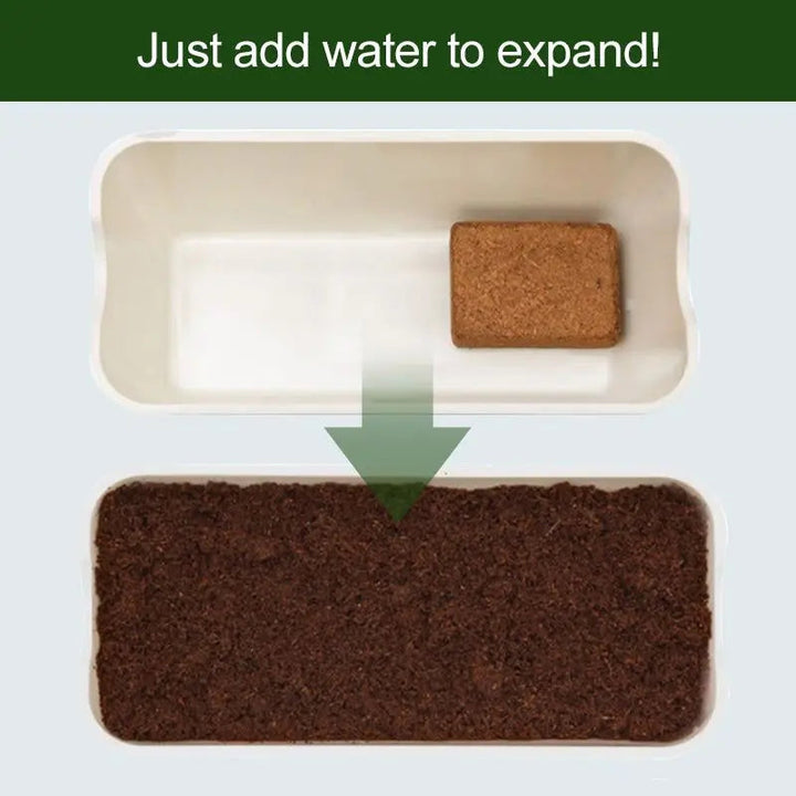 BowLift | 3+2 | Organic Coconut Fiber Brick – Collected from Pacific Islands