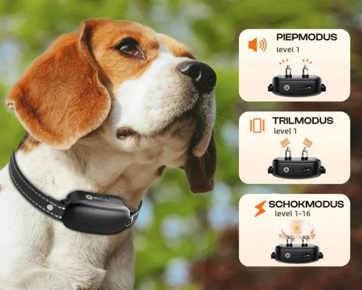 BowLift | Dog Coach Pro Training Collar – Waterproof Electronic Collar with Remote Control