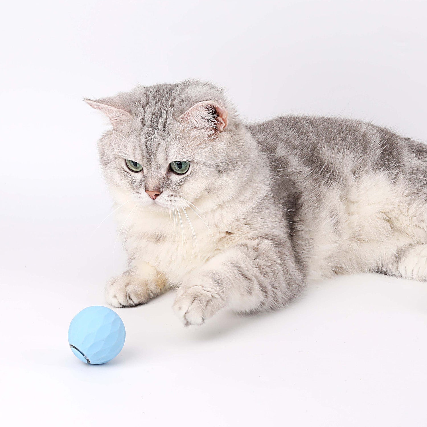 BowLift | Cat Toy | Interactive Self-Rolling Ball