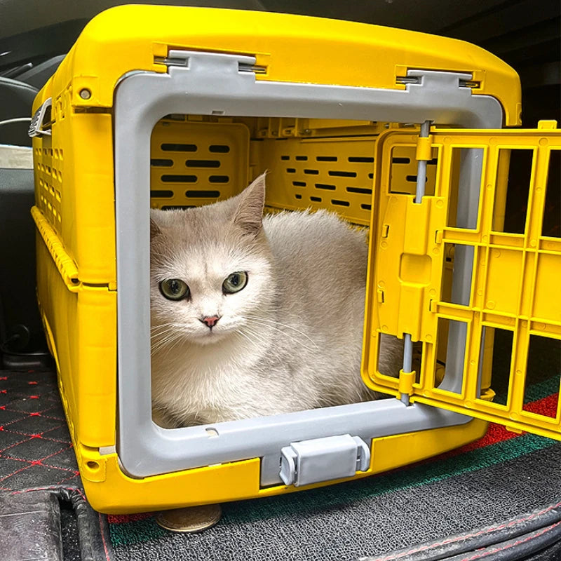 Foldable Pet Transport Box Bowlift