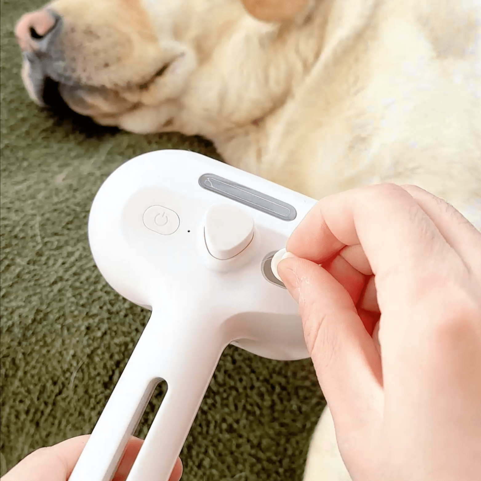 BowLift | DampfVacht Steam Brush – Gentle Care for Every Dog Coat