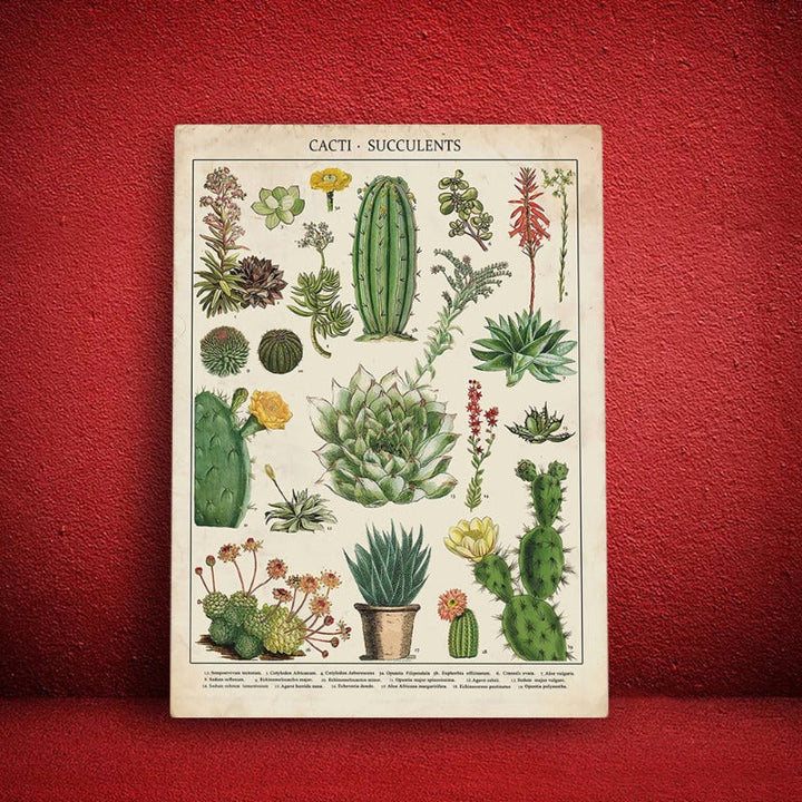Cacti Plants - Canvas Wall Art Painting | Bowlift
