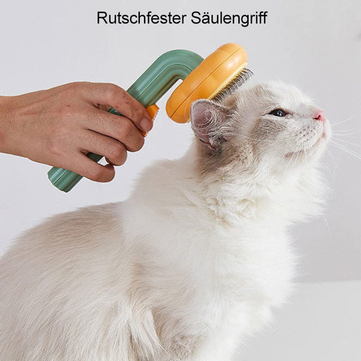 BowLift | Pumpkin Comb Brush for Pets