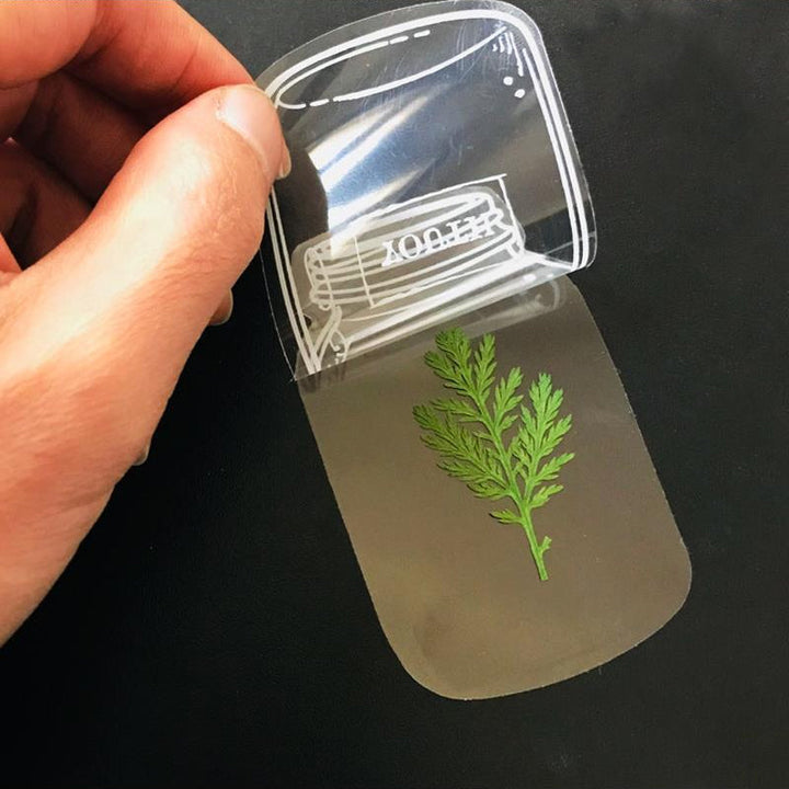 BowLift | Beautiful Transparent Dried Flower Bookmarks