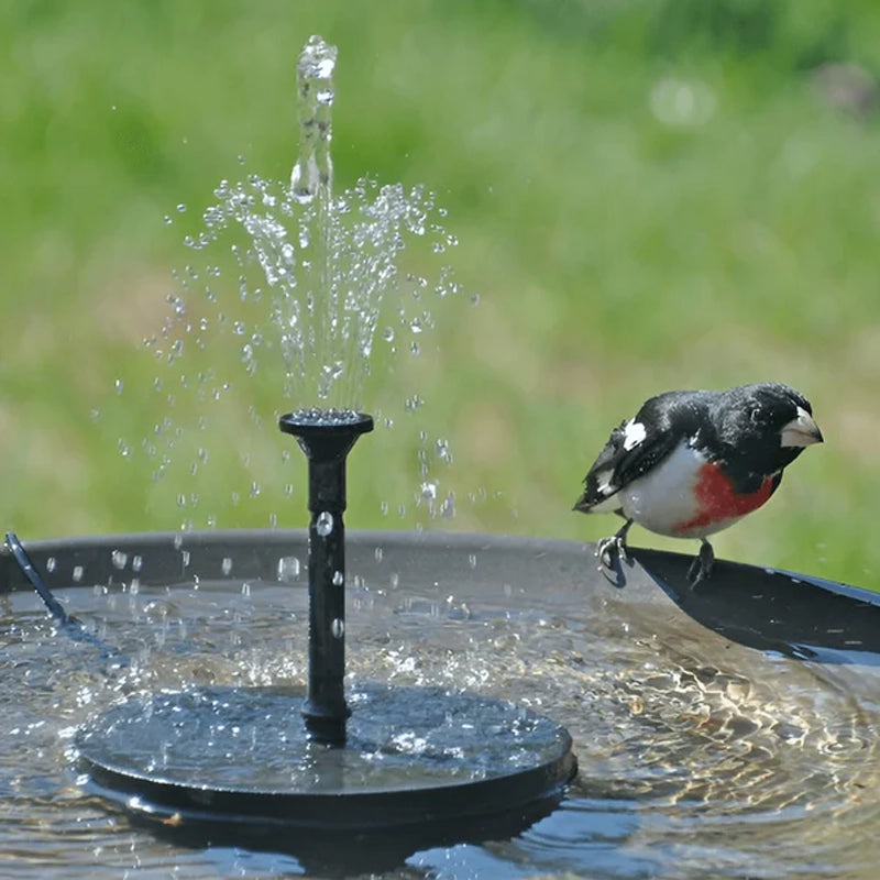 BowLift | Solar Powered Bird Fountain With Lights