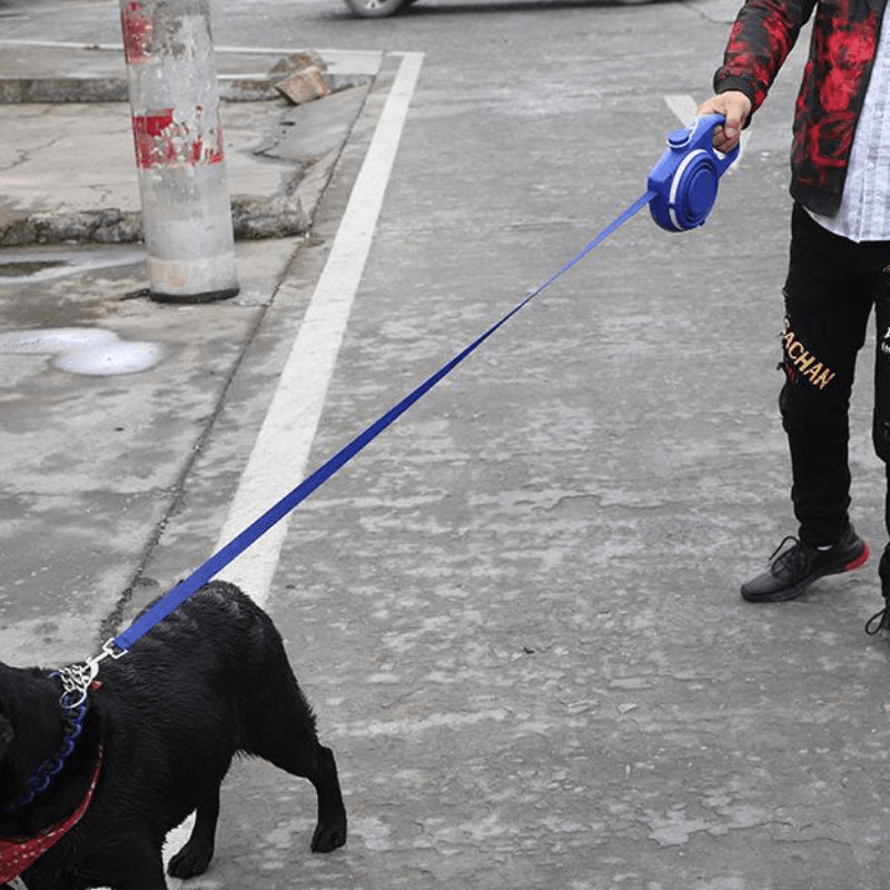 BowLift | 4 in 1 Dog Retractable Leash