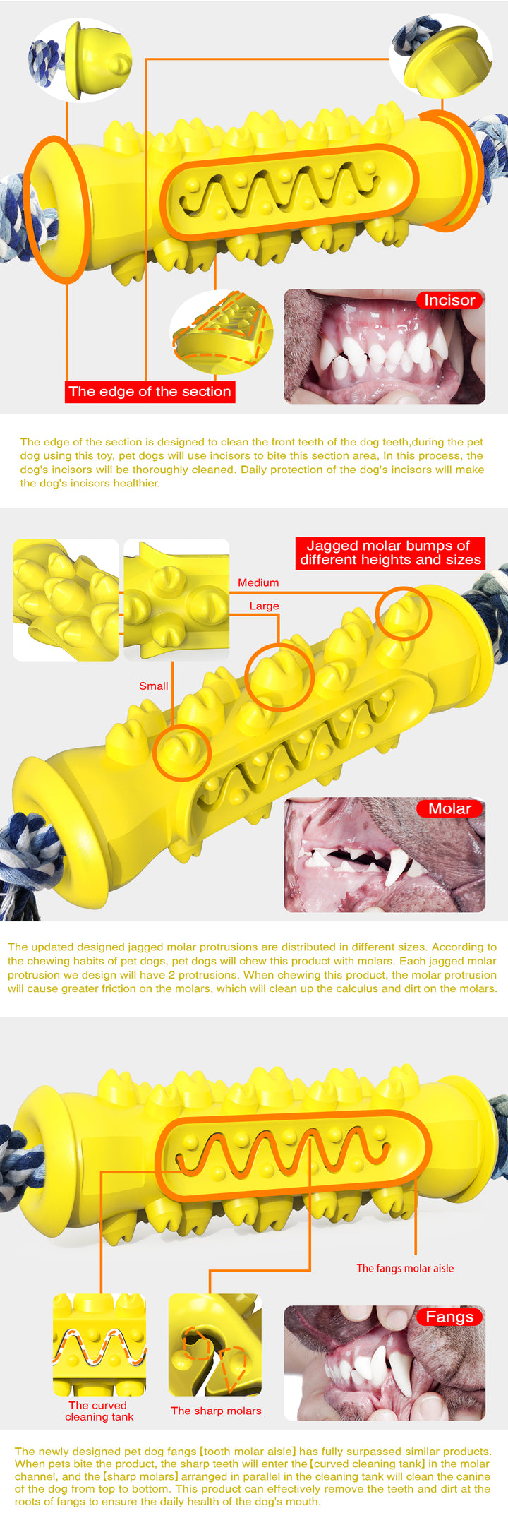 Serrated Chew Stick with Rope Toy for Dogs