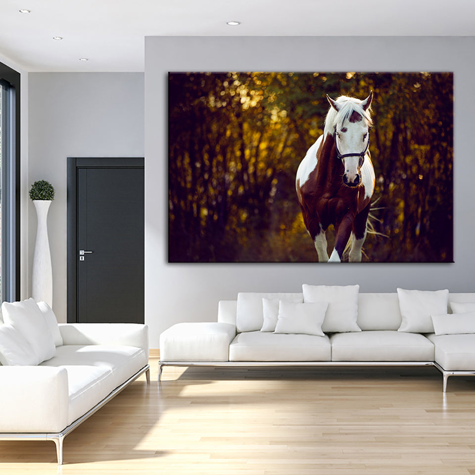Courtly Overo Horse - Canvas Wall Art Painting | Bowlift
