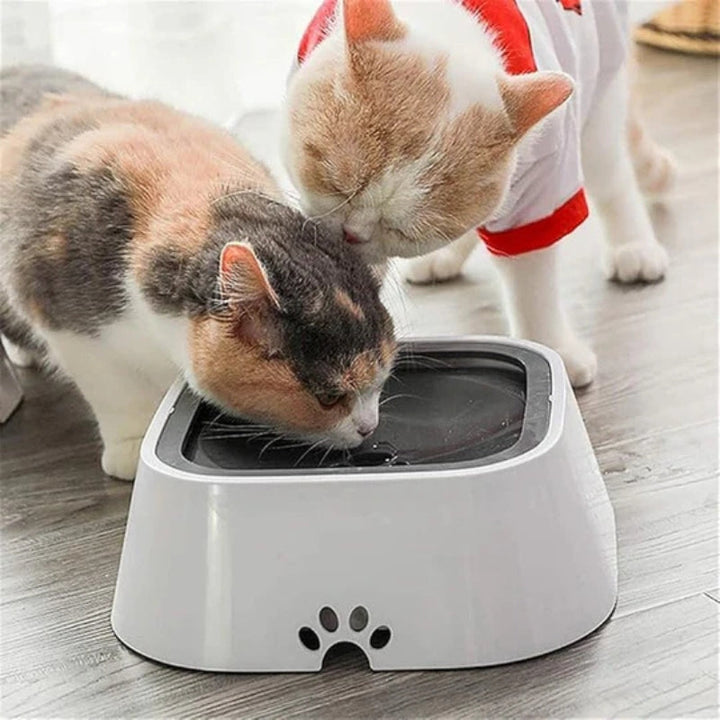 Drip-proof liquid water bowl for dogs and cats Bowlift