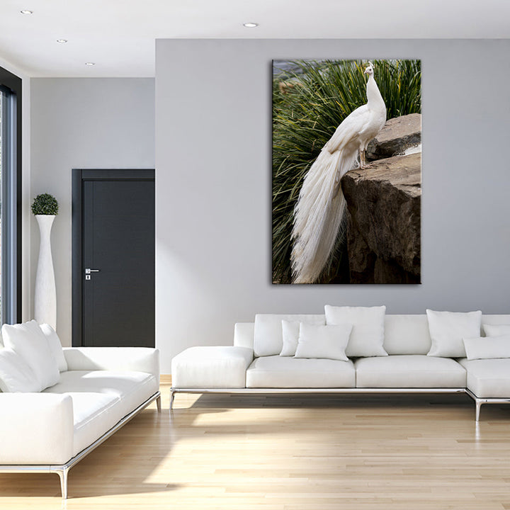 Regal Albino Peacock - Canvas Wall Art Painting | Bowlift