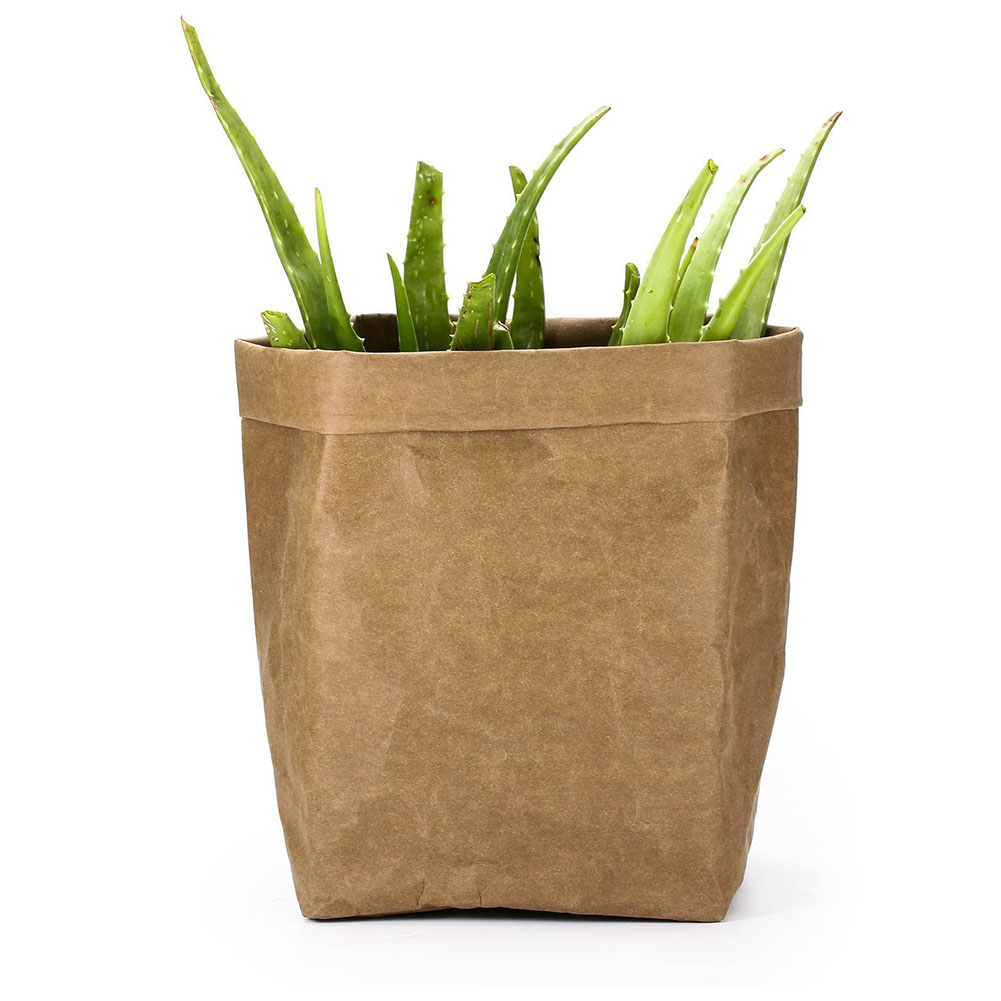 BowLift | Stylish plant pots made of paper for modern decoration
