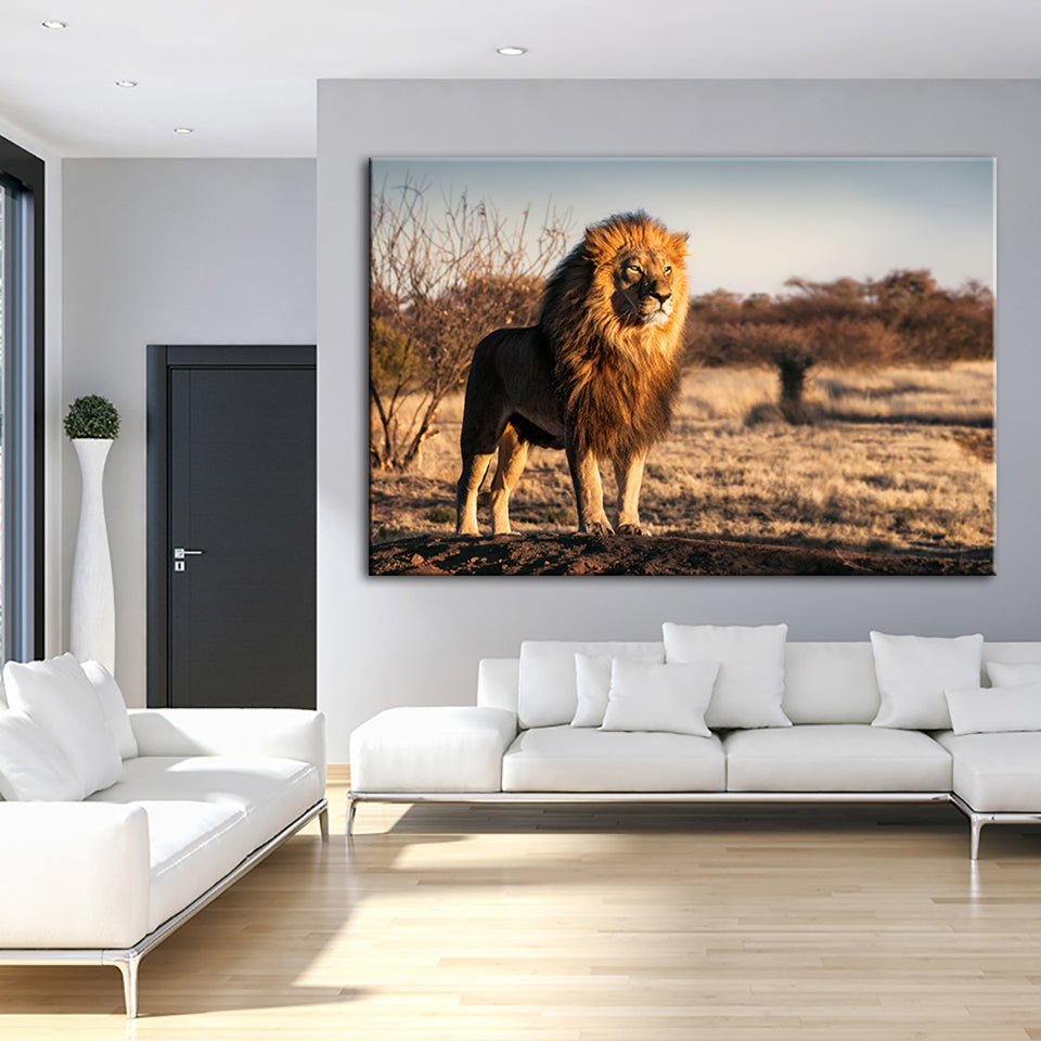 Majestic Lion Bathed In Sunlight - Canvas Wall Art Painting | Bowlift