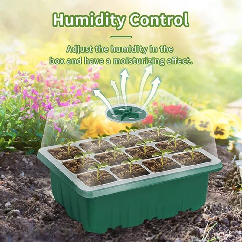 Seed Starter Trays with Grow Light, 5 sets | Bowlift