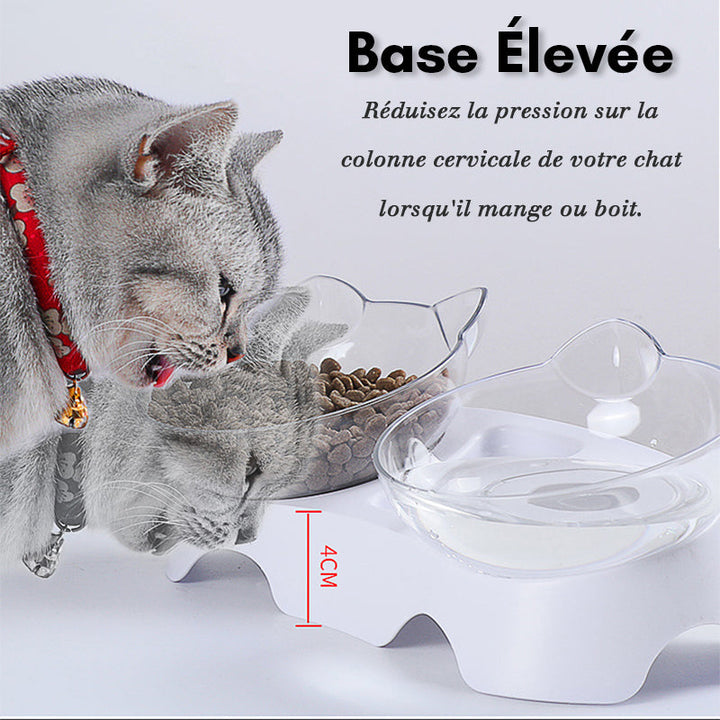 Feeding bowl for cats | Bowlift