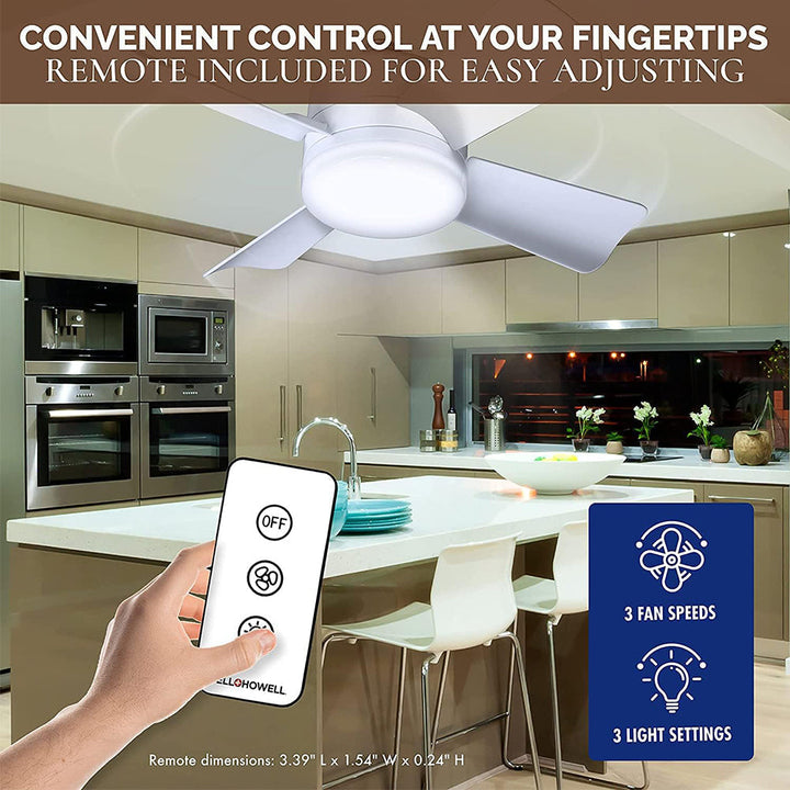 Ceiling Fans with Lights | Bowlift