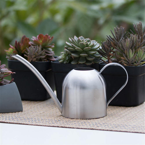 BowLift | AquaGrace Stainless Steel Watering Can with Flexible Neck | Modern Design | Perfect Watering | Rustproof