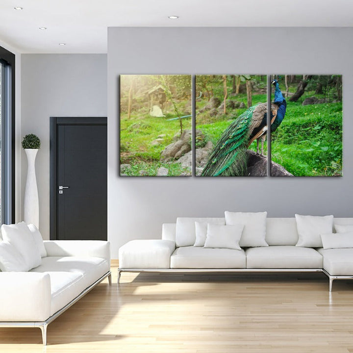 Dignified Sunlit Peacock-Canvas Wall Art Painting 3 Pieces | Bowlift