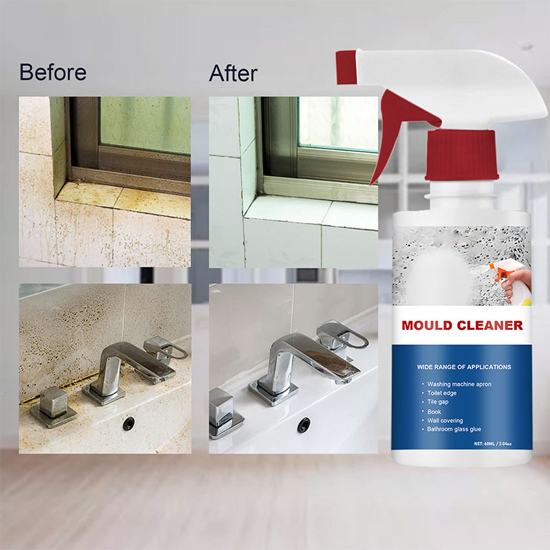 BowLift | Mold Cleaner Foam
