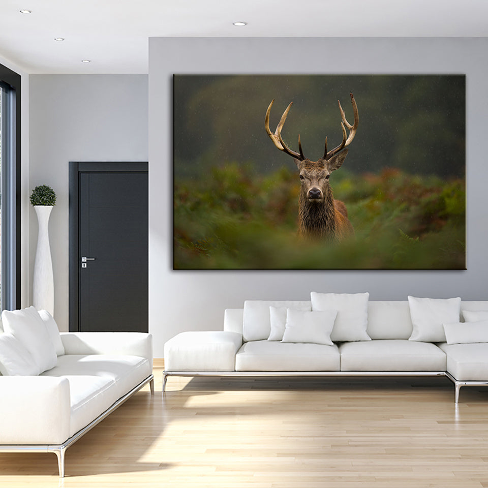 Curios Deer Amongst Ferns - Canvas Wall Art Painting | Bowlift