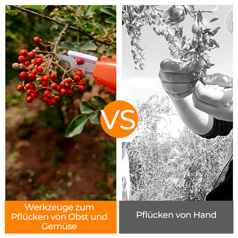 Efficient Pepper Picking Tools | Bowlift