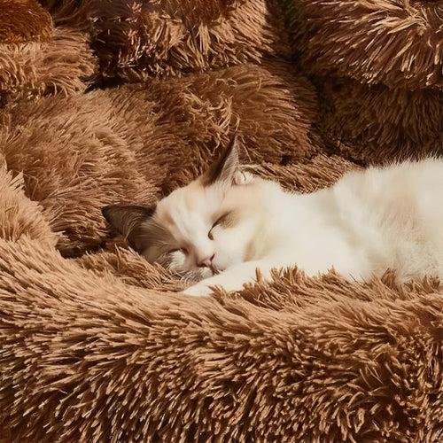 BowLift | Furry Paw-Shaped Pet Bed