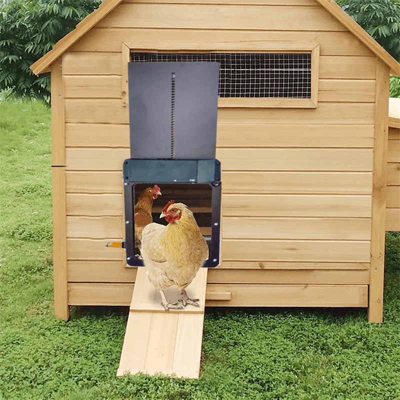 BowLift | Poultry Farm Automatic Chicken House Door