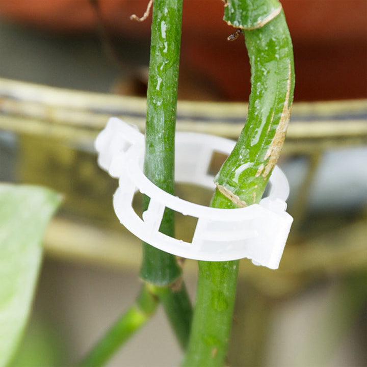 BowLift | Practical Plant Support Clip