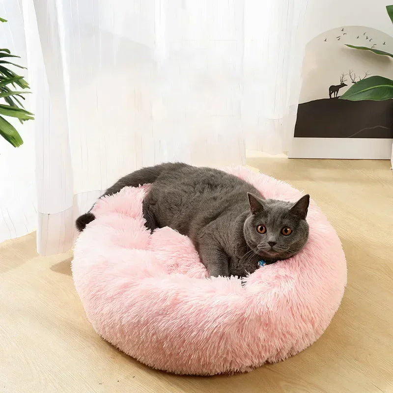 Cozy Cloud Cat Bed Bowlift