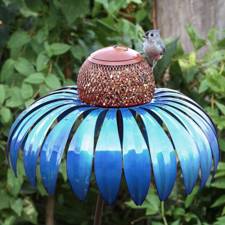 Bird Feeding Station D'éChinacéE | Bowlift