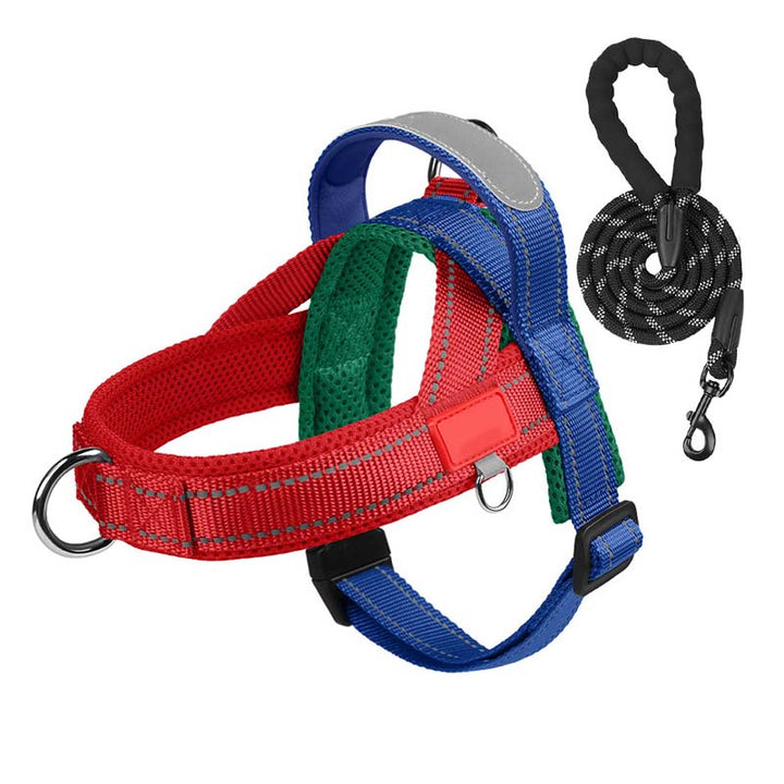PawEase Comfort Harness — Relaxed Dressing and Unlimited Freedom for Your Dog | Bowlift