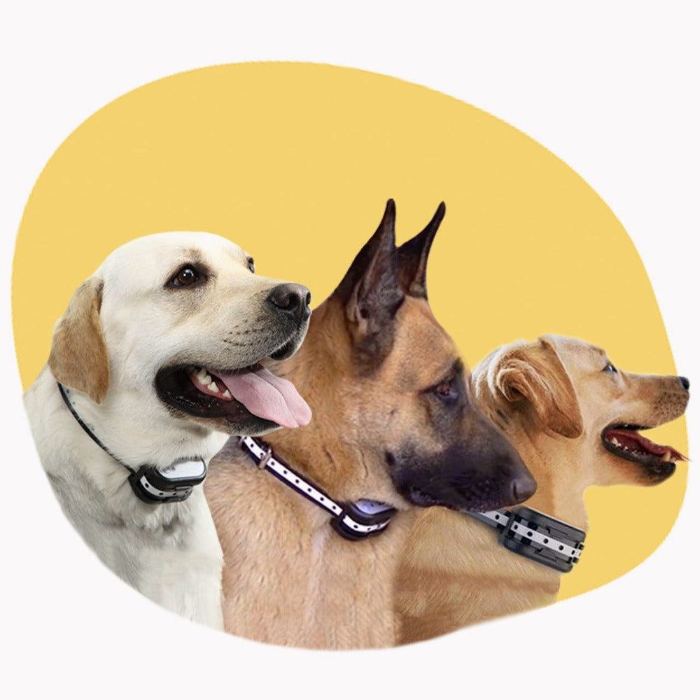 BowLift | SafeZone Wireless Dog Fence & Training Collar – Rechargeable, Waterproof & Pet-Friendly Correction Modes