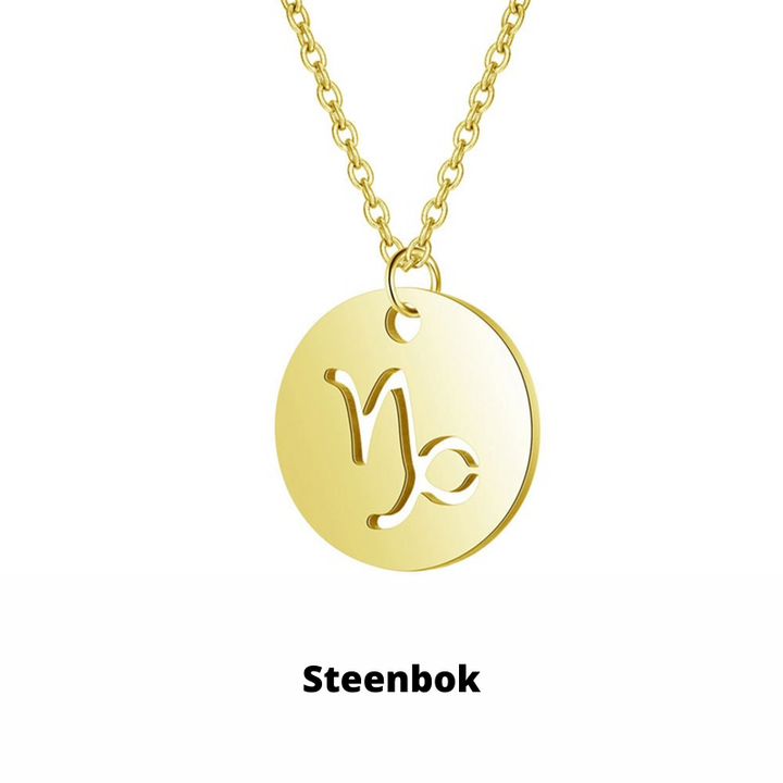 Zodiac Necklace | Sustainable Stainless Steel, Stays Radiant! Bowlift