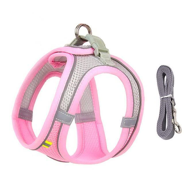 BowLift | Adjustable Harness and Leash Set for Small Dogs and Cats