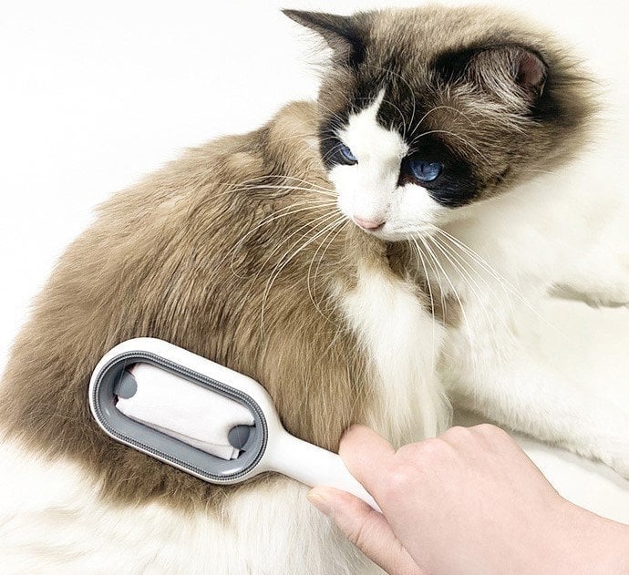 BowLift | Universal Pet Knots Remover