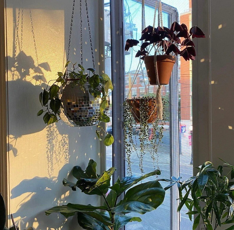 BowLift | Disco Ball Hanging Planter