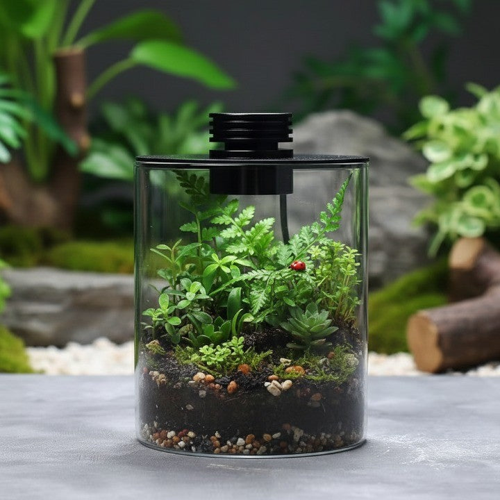 BowLift | Mini Forest Maker Terrarium Decor Vase