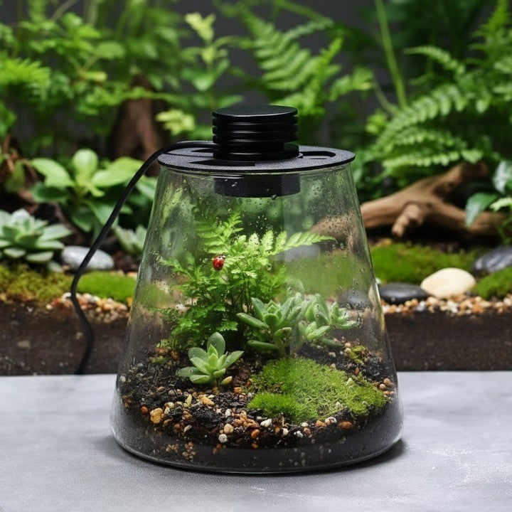 BowLift | Mini Forest Maker Terrarium Decor Vase