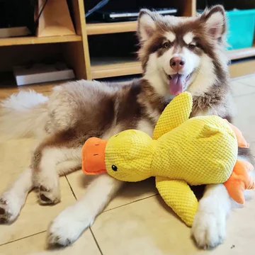 BowLift | Calming Duck Dog Toy