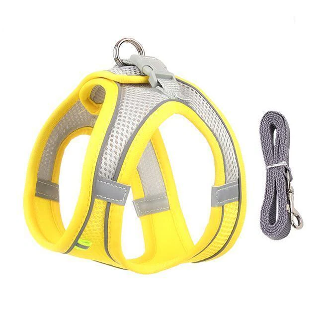 BowLift | Adjustable Harness and Leash Set for Small Dogs and Cats