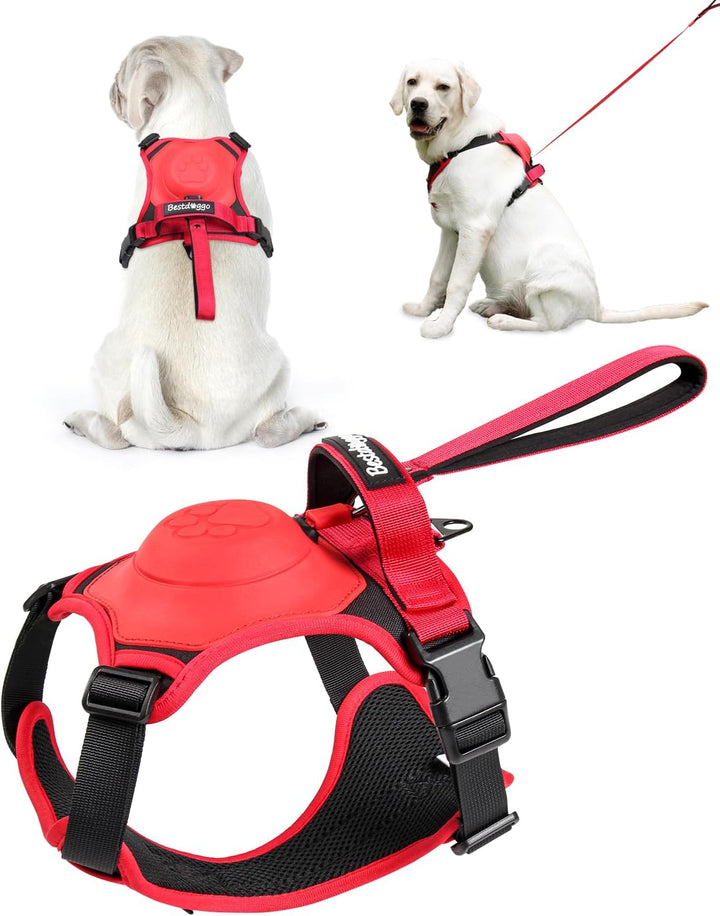 BowLift | mamymarket™ - Dog Harness and Retractable Leash Set All-in-One