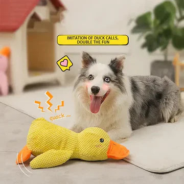 BowLift | Calming Duck Dog Toy