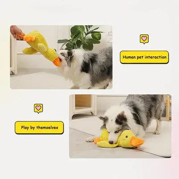 BowLift | Calming Duck Dog Toy