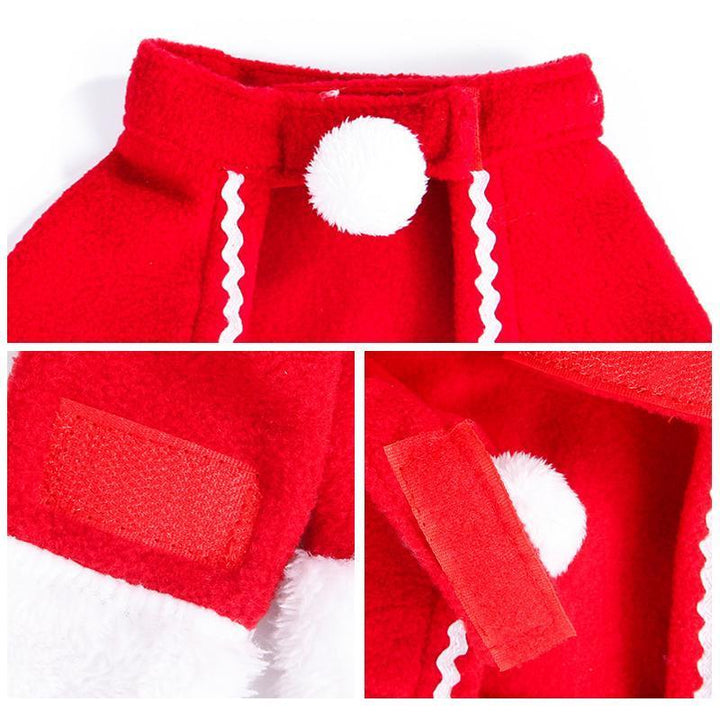 BowLift | FestivaPaws – Warm festive pet outfits that attract attention