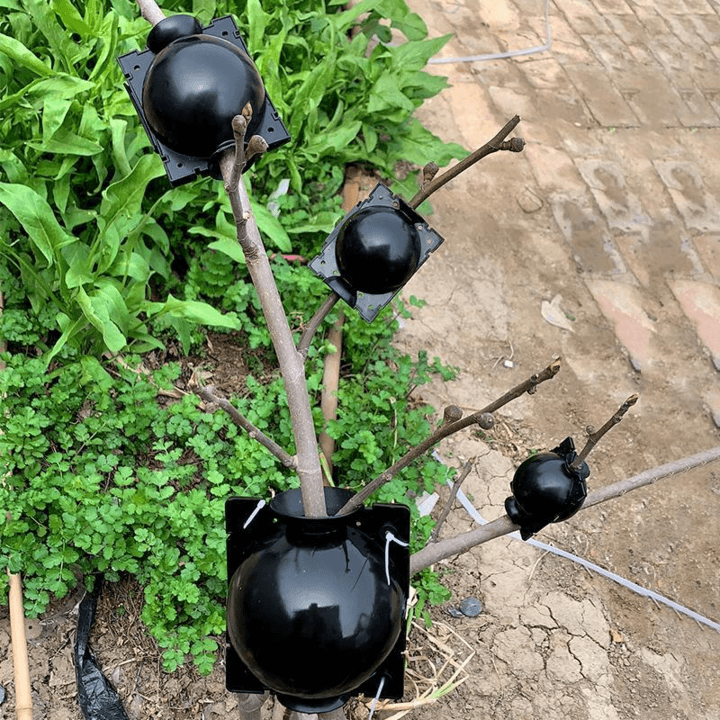 BowLift | Air Layering Plant Propagator Pod