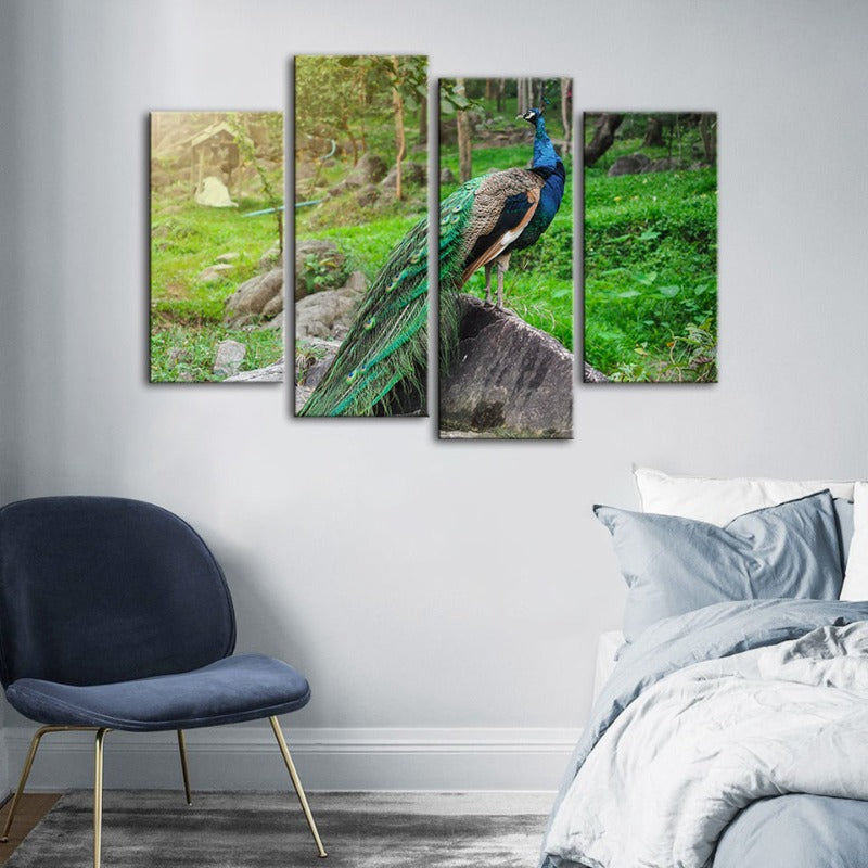 4 Piece Dignified Sunlit Peacock - Canvas Wall Art Painting | Bowlift
