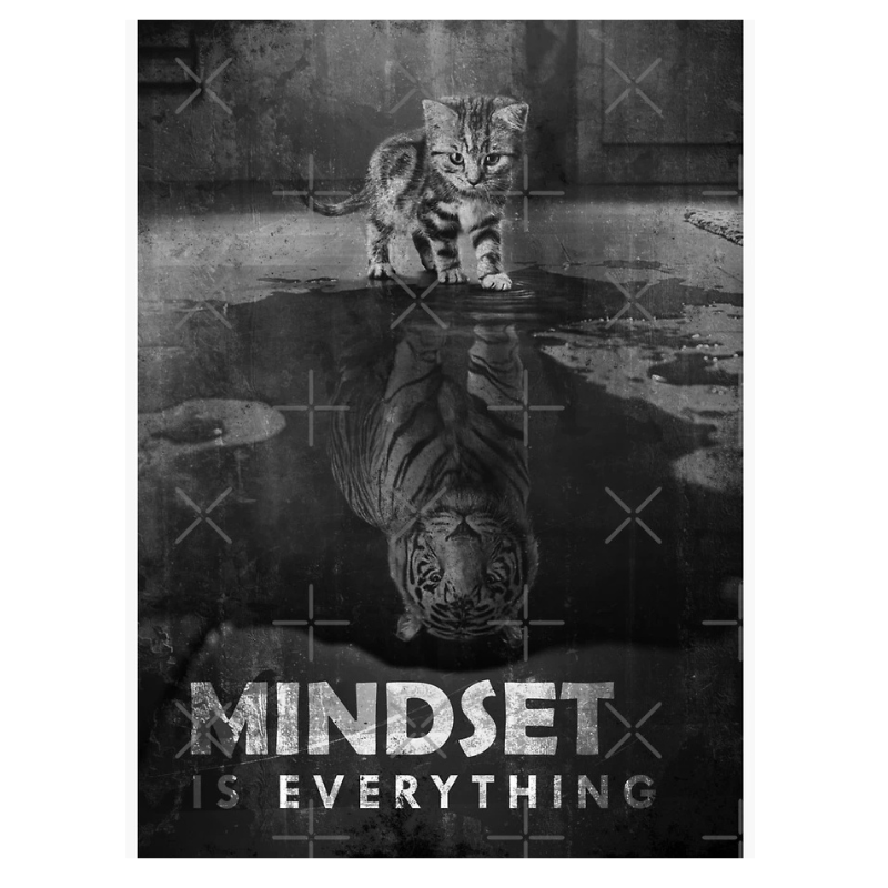 Motivational Wall Art With Animal Reflection Theme | Bowlift