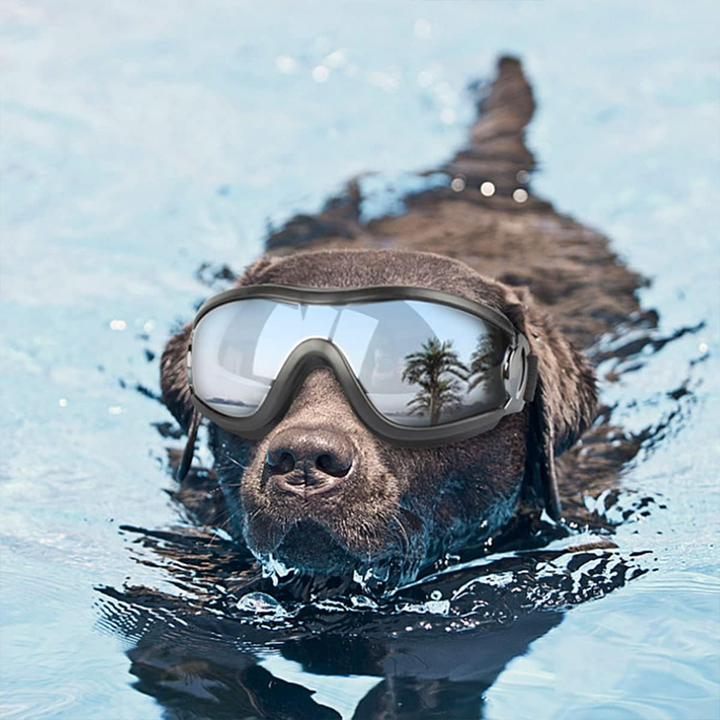 BowLift | Outdoor Protection Glasses for Dogs