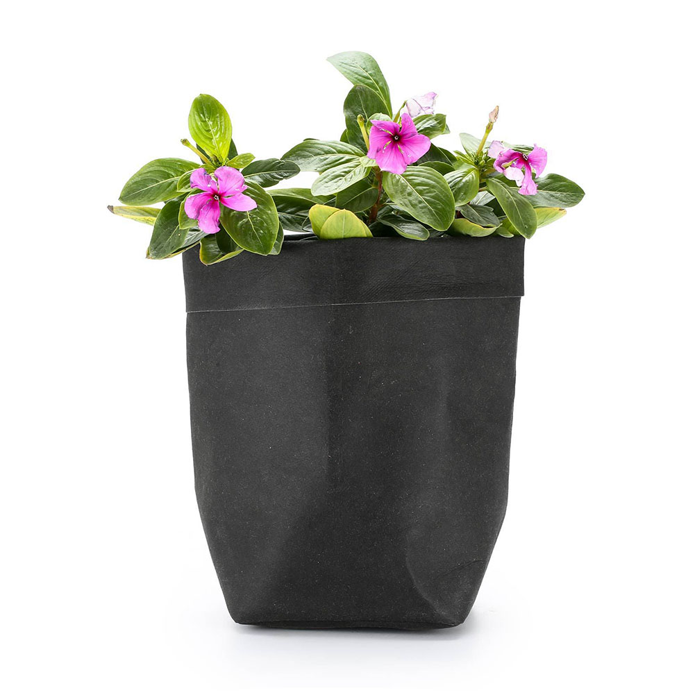 BowLift | Stylish plant pots made of paper for modern decoration